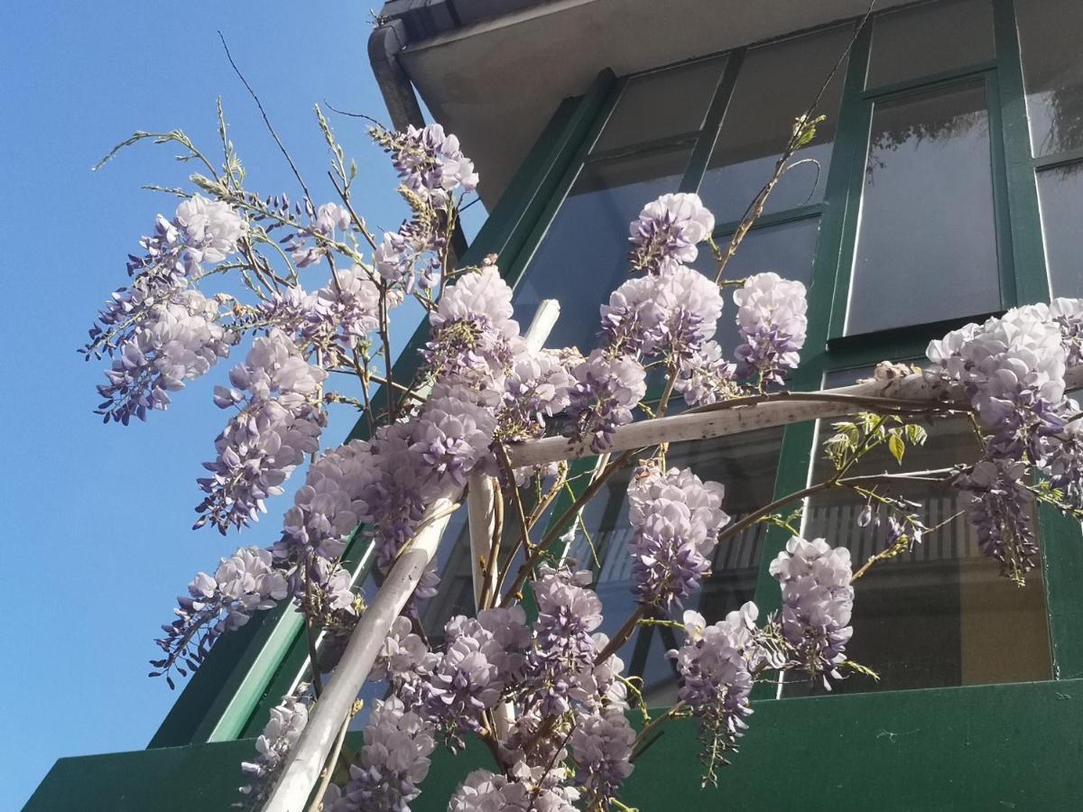 Casadei24 Apartamento Guidonia Exterior foto